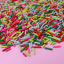 Load image into Gallery viewer, Carnival Jimmies Mix