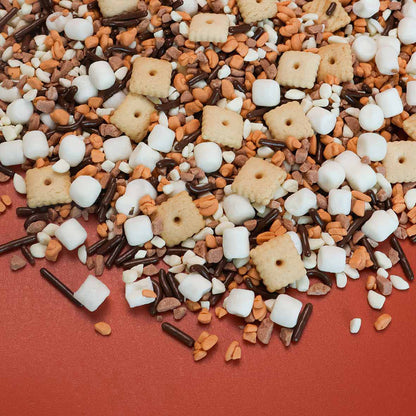 Making S'mores Memories Ice Cream Toppings