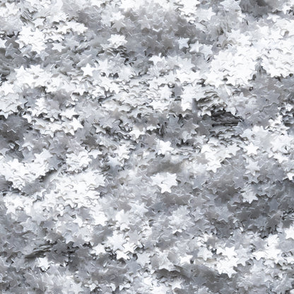 Glitter Silver Star