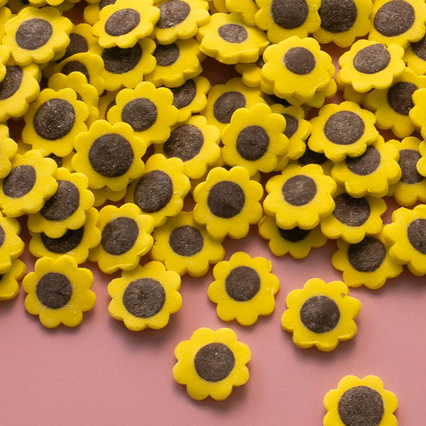 Sunflower Candy Shapes