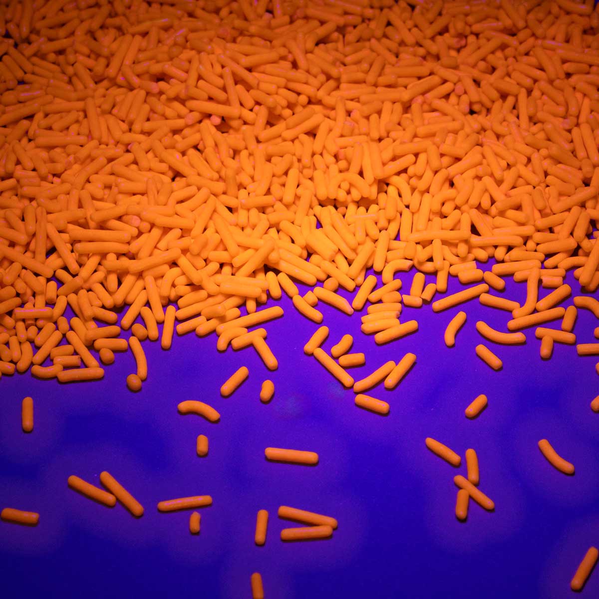 Neon Orange Glow In The Dark Jimmies Sprinkles